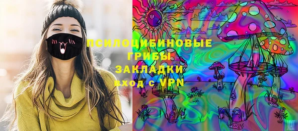 дмт Аркадак