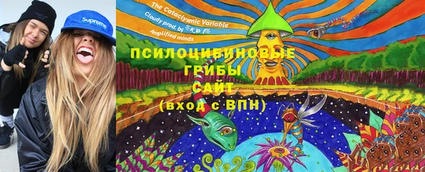 mdpv Арсеньев